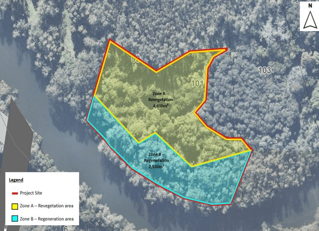 Flying Fox Camp At Blackalls Park - Lake Macquarie Conservation Project